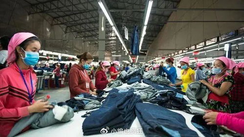 shein的快時(shí)尚 黑盒