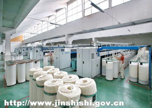 宏力紡織 產業集群驅動，鑄就百億紡織工程新篇章